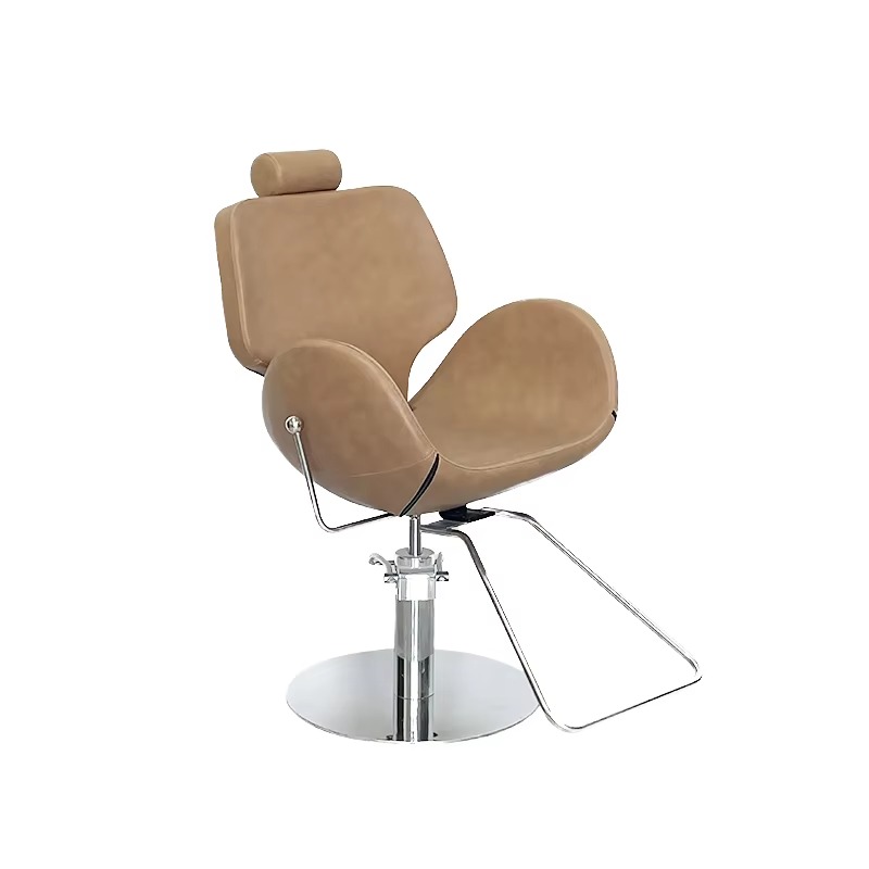 Ergonomic Barber Chair Synthet - Beauty Makeup Workshop 리뷰 및 가격